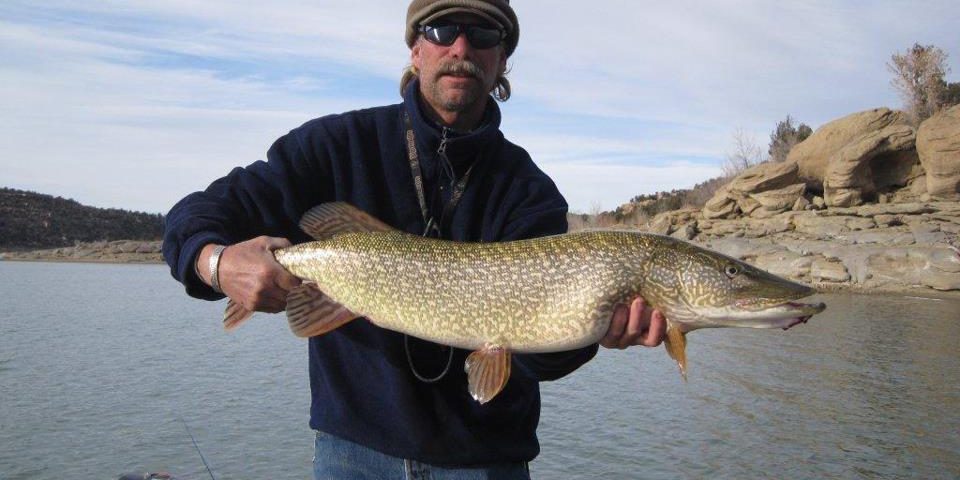 South West Colorado Fly Fishing In March