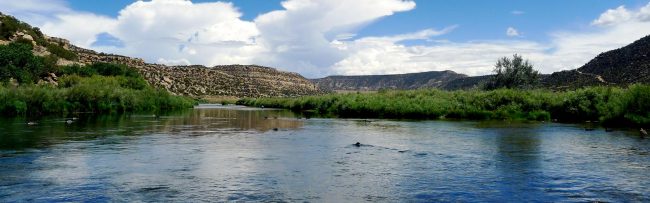San Juan River Guided fly fishing