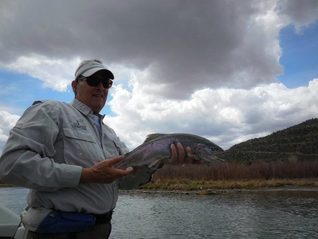 San Juan Rainbow Trout