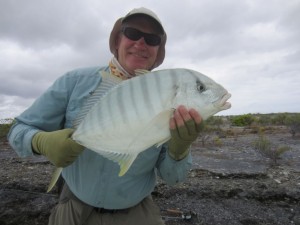 terry and golden trevally