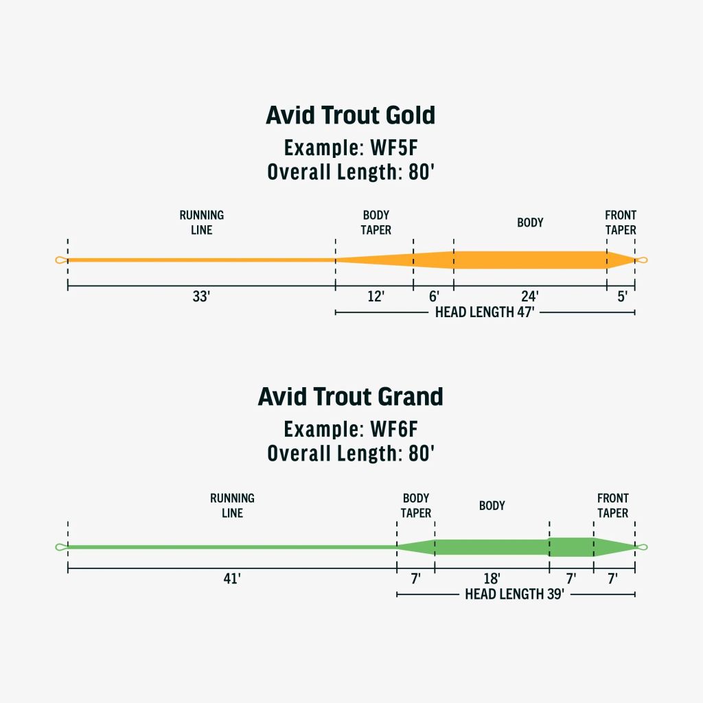 RIO Avid Trout Fly Line - Gold Taper - Duranglers Fly Fishing Shop