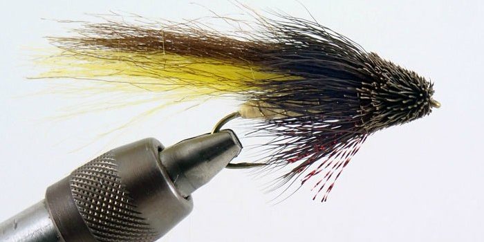 Animas-River-Special