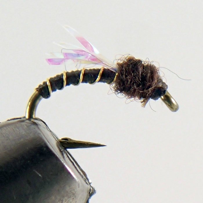 Midges  Colorado Fly Angler