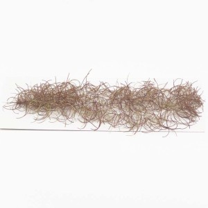 Whiting Pro Grade Saddle Hackle - Duranglers Fly Fishing Shop & Guides