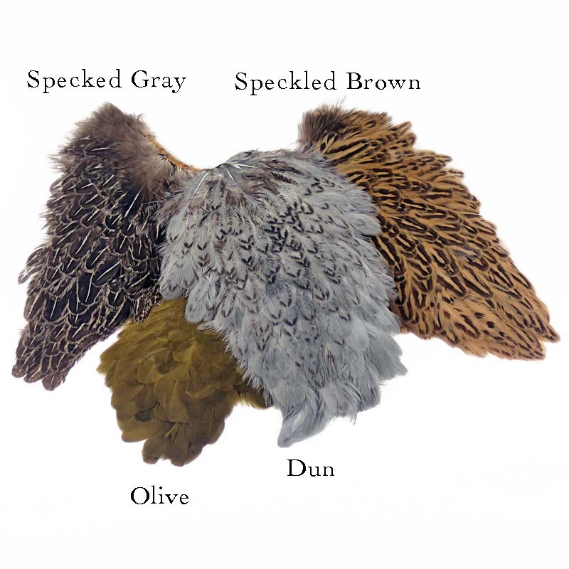 Soft-Hackle-Hen-Saddle-Patches.jpg