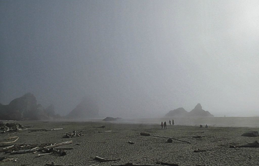 Coastal-Fog.jpg