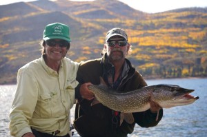 Vallecito Pike - Great Backdrop