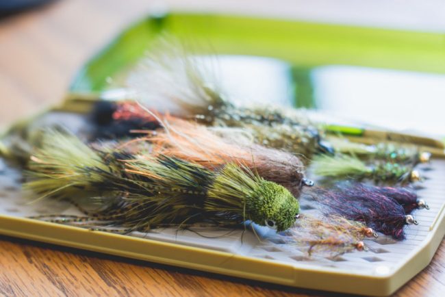 Duranglers Umpqua UPG LT Box Standard High