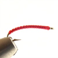 Red Annelid
