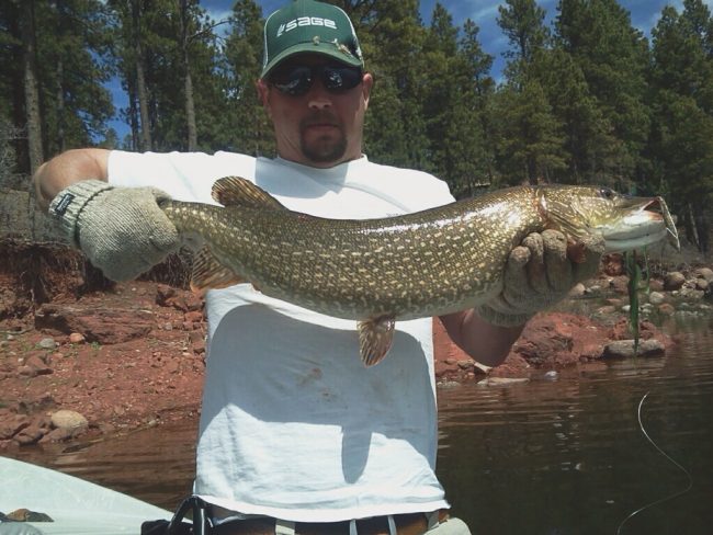 Vallecito Fly Fishing for Pike