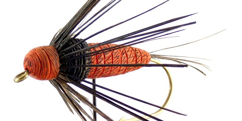Carrot-Nymph-Fly-Carving-profile.jpg