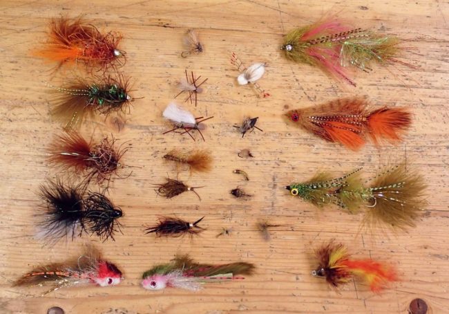 New Flies 2015