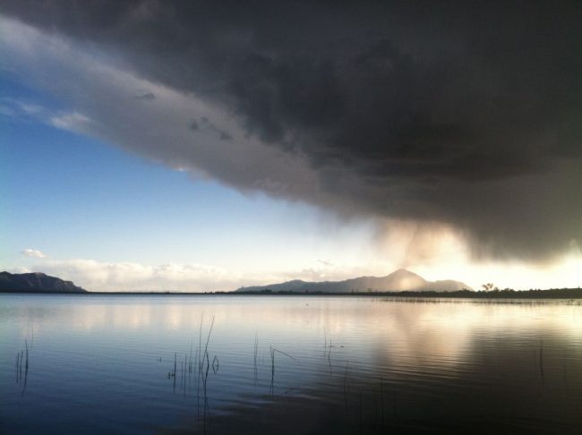 Colorado Carp Fishing Thunderheads