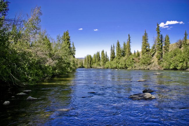 Rio Grande River Fly Fishing
