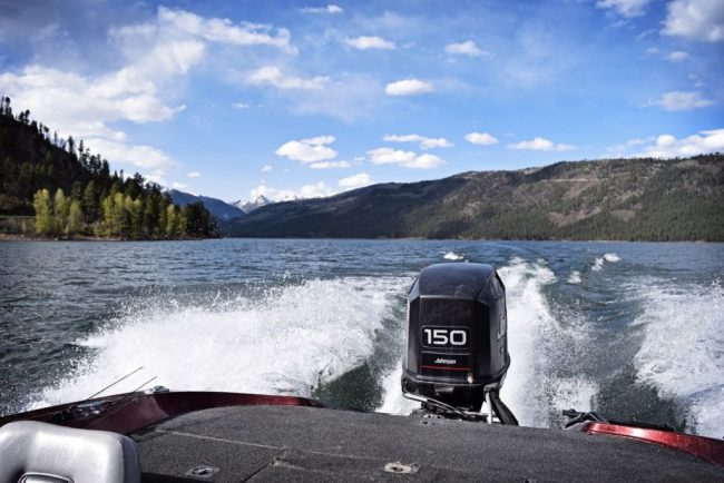 Vallecito Fishing