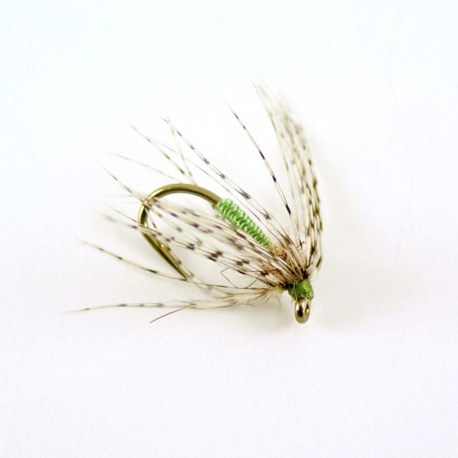 Partridge-and-Green.jpg