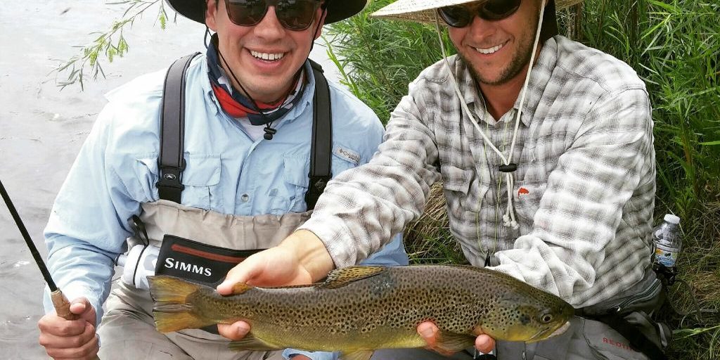 Les SAn Juan Brown Trout Les-SAn-Juan-Brown-Trout.jpg