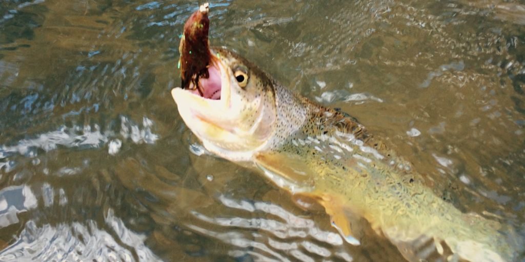 Animas River Fishing – Duranglers – Andy McKinley