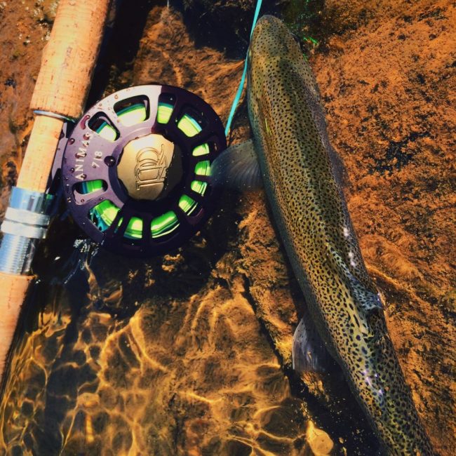 Animas-River-Fly-Fishing-Duranglers-Spey-Rod-Ross-Animas-Reel.jpg