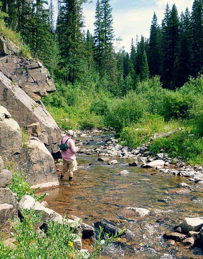 Duranglers-Dos-Mosca-Creek-Fishing-Colorado-Fly-Fishing.jpg