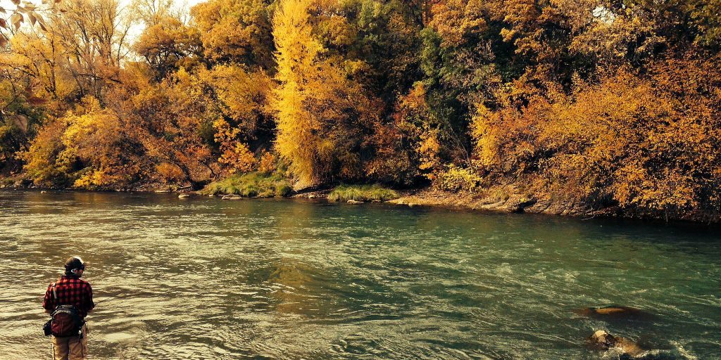 Andy Animas Fall Fishing