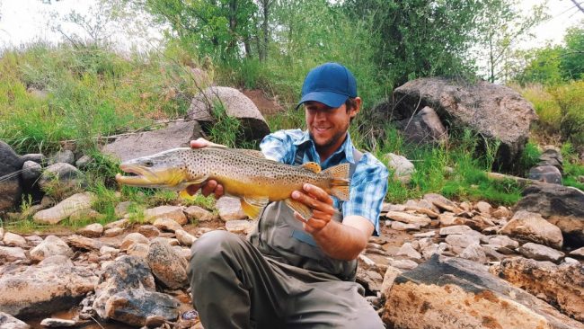 Les-Animas-River-Brown-Trout.jpg
