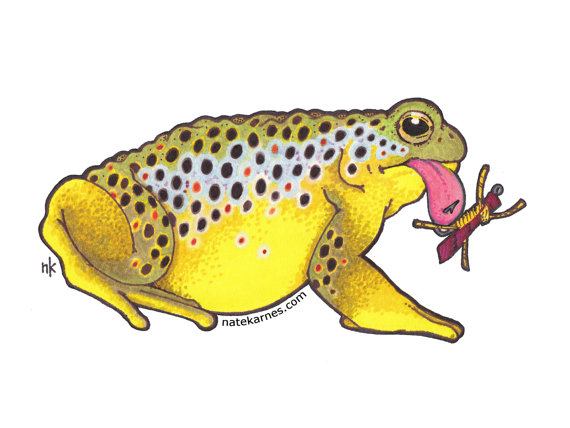 Nate Karnes' Toad Brown Trout Decal - Duranglers Fly Fishing Shop & Guides