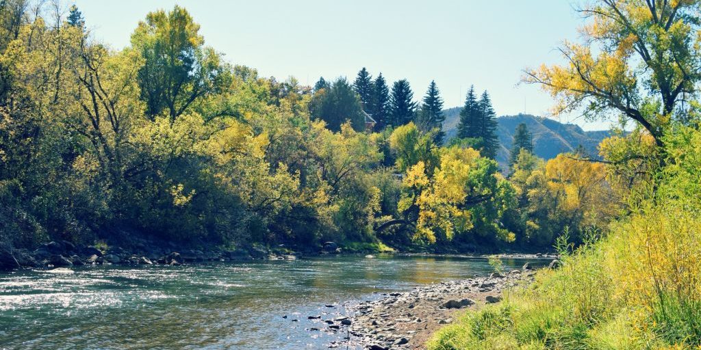 Animas River Fly Fishing Duranglers Animas River Fly Fishing Duranglers