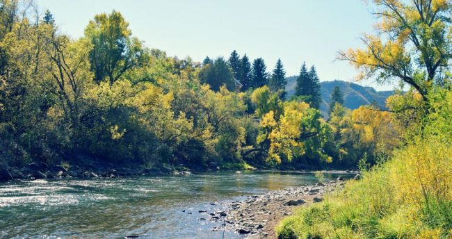 Animas River Fly Fishing Duranglers