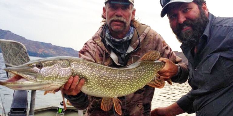 Mark Engler Pike Fly Fishing