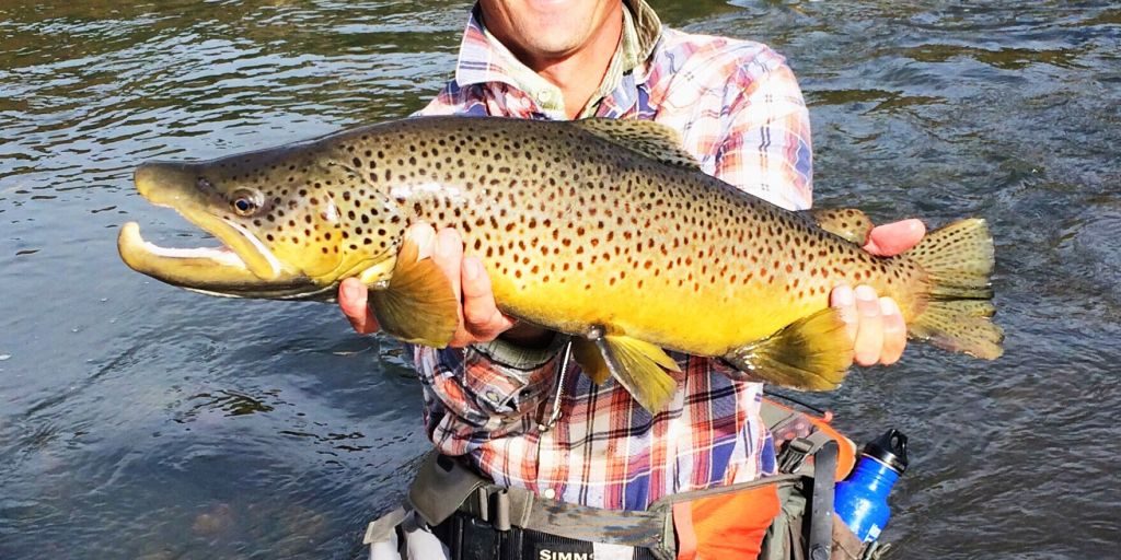 Spencer-Animas-river-Brown-Trout-Colorado-Fly-Fishing-Durangler