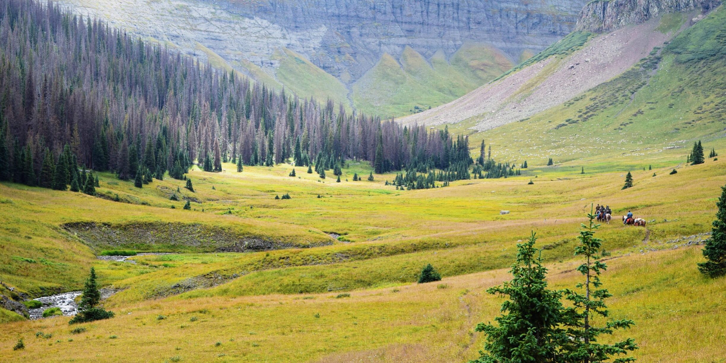 Jacob-Ballard-High-Country-Fly-Fishing-Colorado.jpg Jacob-Ballard-High-Country-Fly-Fishing-Colorado.jpg