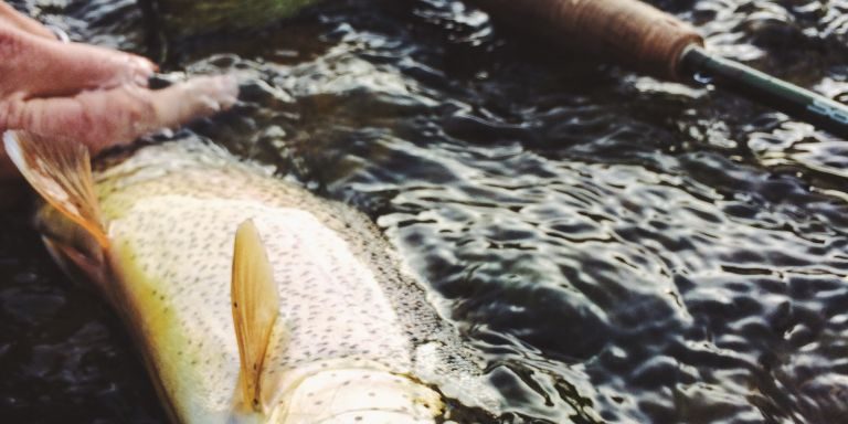 Duranglers-Winter-Fly-Fishing-Report-Midges-Colorado-Fly-Fishing.jpg Duranglers-Winter-Fly-Fishing-Report-Midges-Colorado-Fly-Fishing.jpg