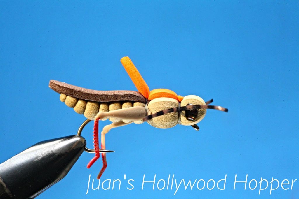 Juans Hollywood Hopper