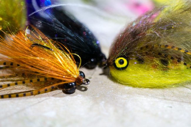 Trout Spey Intruder, Thin Mint Variation Fly Tying