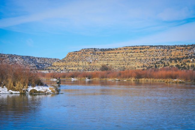 San Juan River Winter Fishing January - Duranglers - Andy McKinley