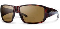 Smith Guide's Choice Sunglasses - Bifocal Polarized