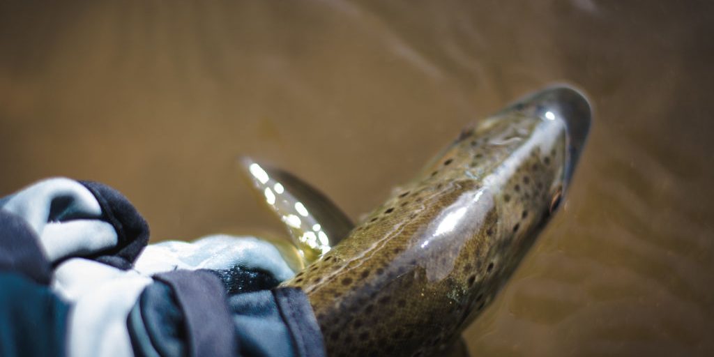 The Winter Release – Duranglers Andy McKinley Winter Fishing
