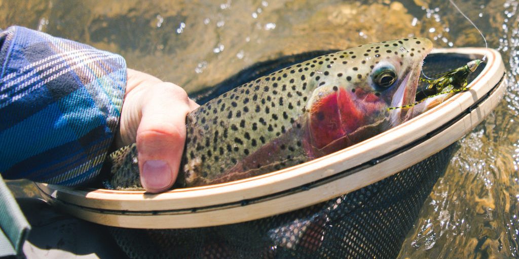 Andy McKinley Duranglers Animas Streamer Fishing Andy McKinley Duranglers Animas Streamer Fishing