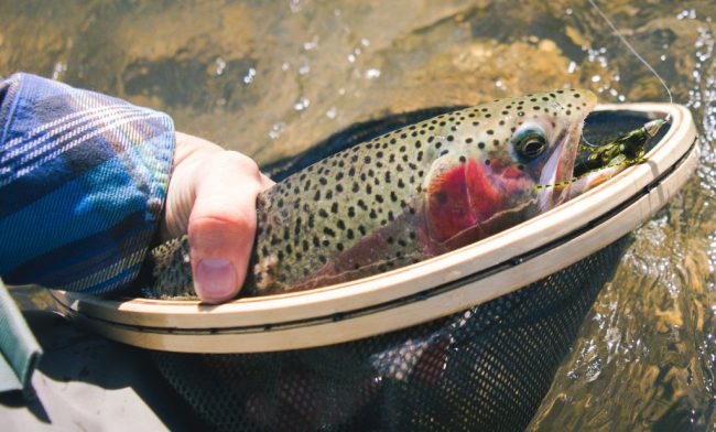 Andy McKinley Duranglers Animas Streamer Fishing