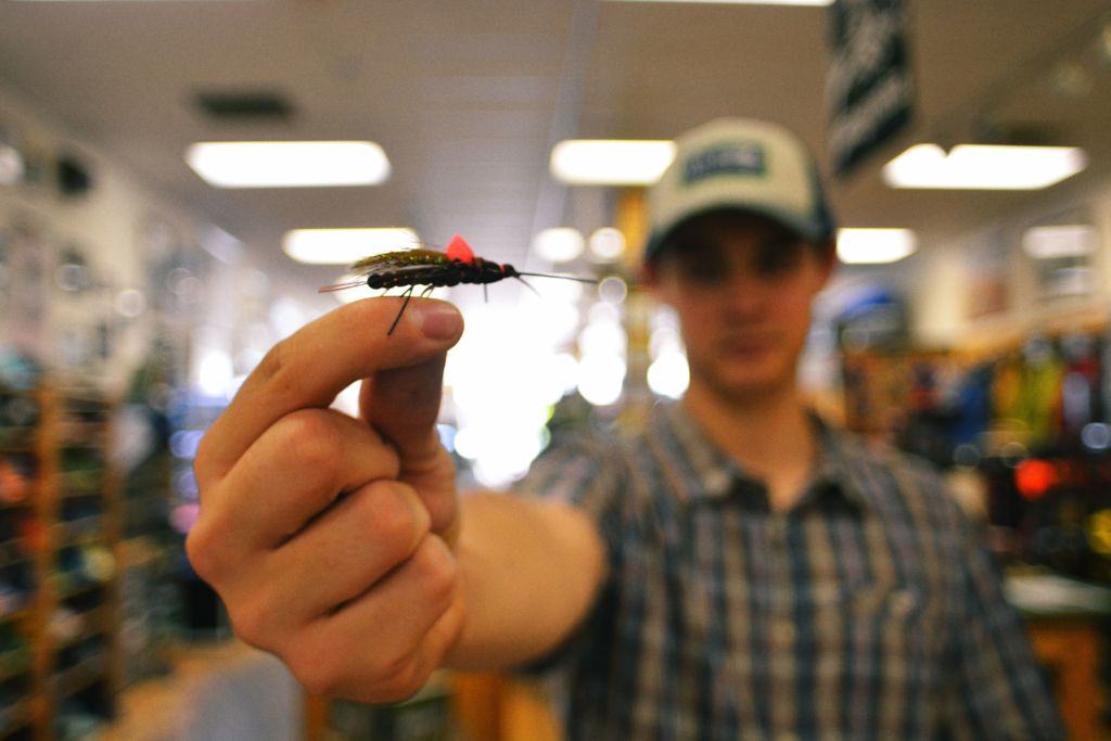 Durango Salmonfly