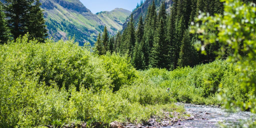 High Country Fly Fishing