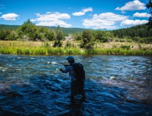 Andy McKinley Dos Mosca Fly Fishing Pine River