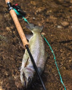 Redington Hydrogen Trout Spey Andy McKinley Animas River Rainbow Trout