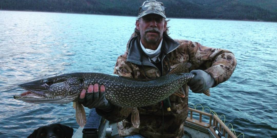 mark-engler-fall-pike-2016