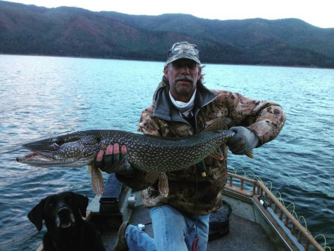 mark-engler-fall-pike-2016
