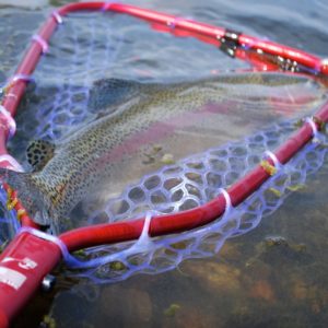 Rising Net - Aluminum Brookie 24 - Duranglers Fly Fishing Shop & Guides