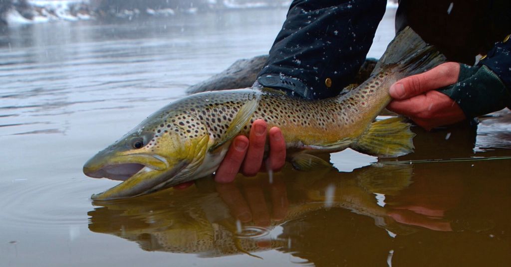 Winter Fly Fishing Guide Special