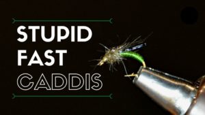 stupid-fast-caddis-fly-tying-video-cover