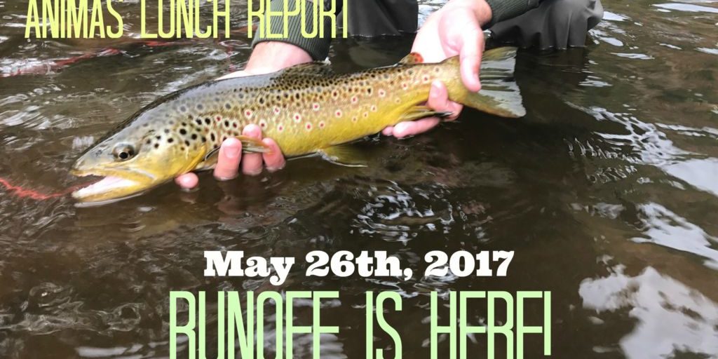 ALR-Runoff is Here